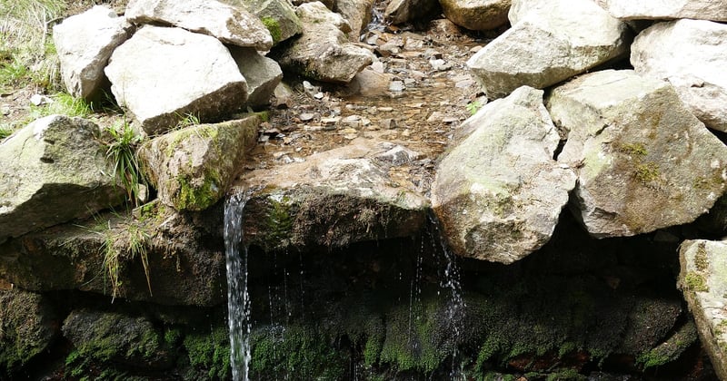Rehberge Berlin entdecken: Der ultimative Guide für Park, Natur & Freizeit
