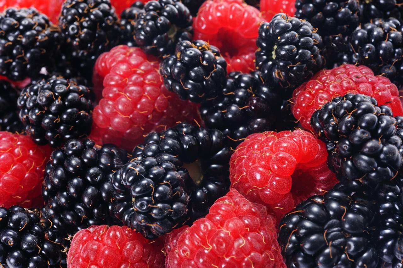 entdecken sie die vorteile von vitaminen für ihre gesundheit! erfahren sie mehr über essentielle nährstoffe, ihre funktionen im körper und wie sie ihre ernährung optimieren können, um vital und fit zu bleiben.