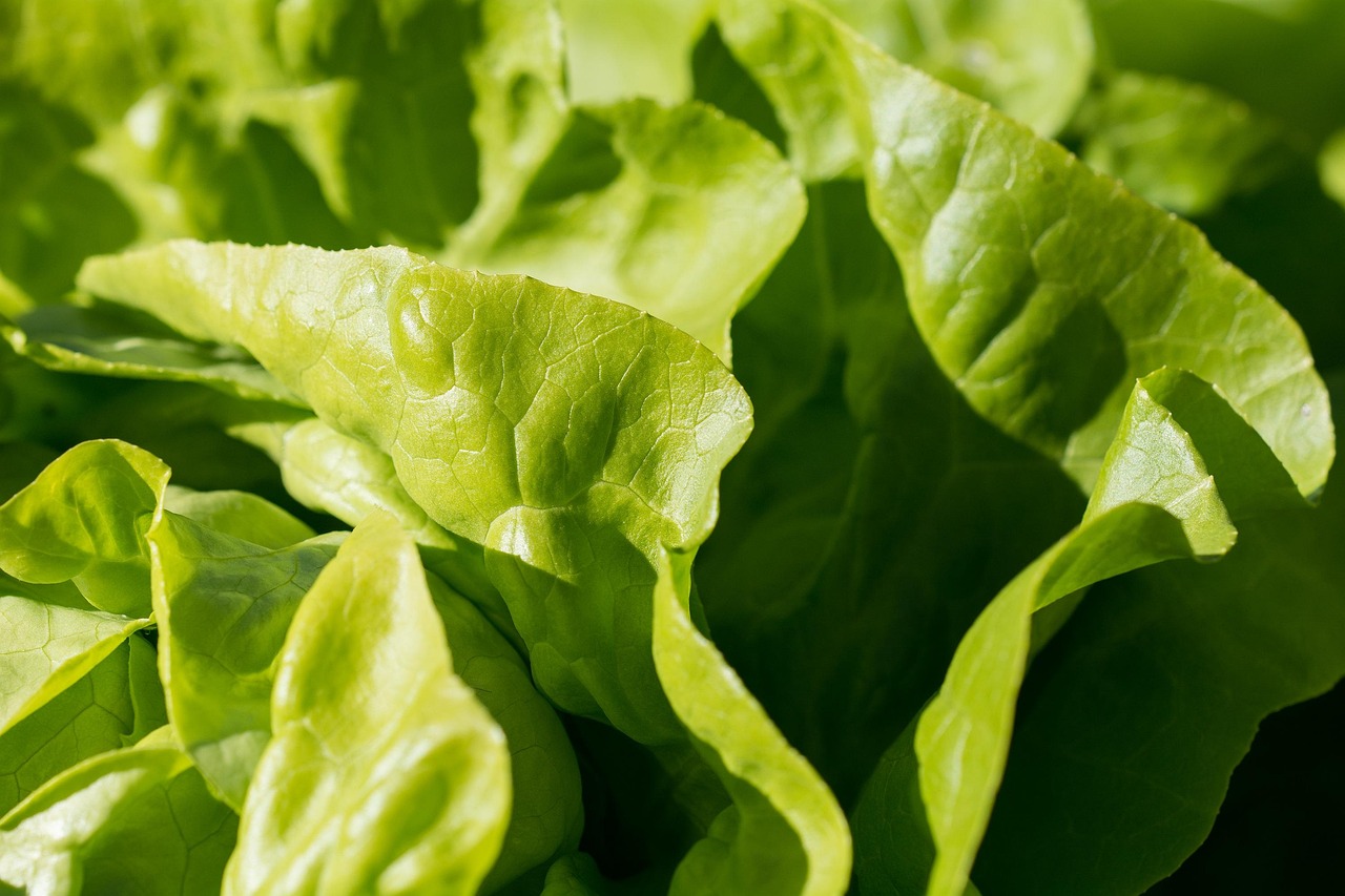 entdecken sie köstliche rezepte, gesunde ernährungstipps und die neuesten food-trends auf unserer plattform. lassen sie sich von vielfältigen küchen und kulinarischen inspirationen begeistern!