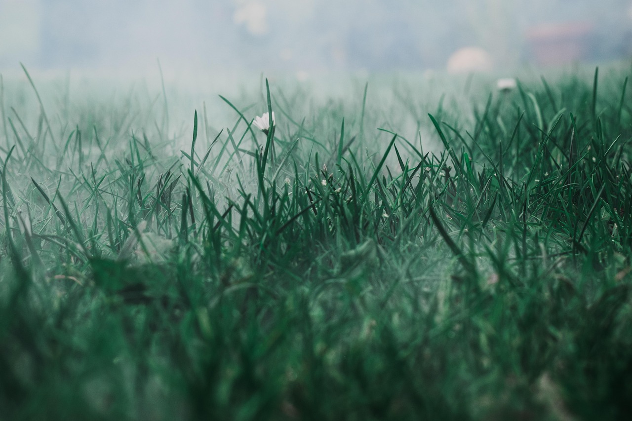 erleben sie, wie sie den morgenstress überwinden können. entdecken sie effektive tipps und techniken, um entspannt in den tag zu starten und ihre morgenroutine zu optimieren.