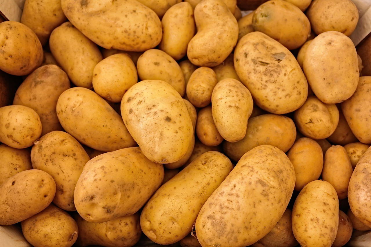 entdecken sie die vielfalt an gemüse! gesunde rezepte, nährstoffinformationen und tipps für eine ausgewogene ernährung mit frischem gemüse. kochen sie einfach und lecker mit saisonalen zutaten.