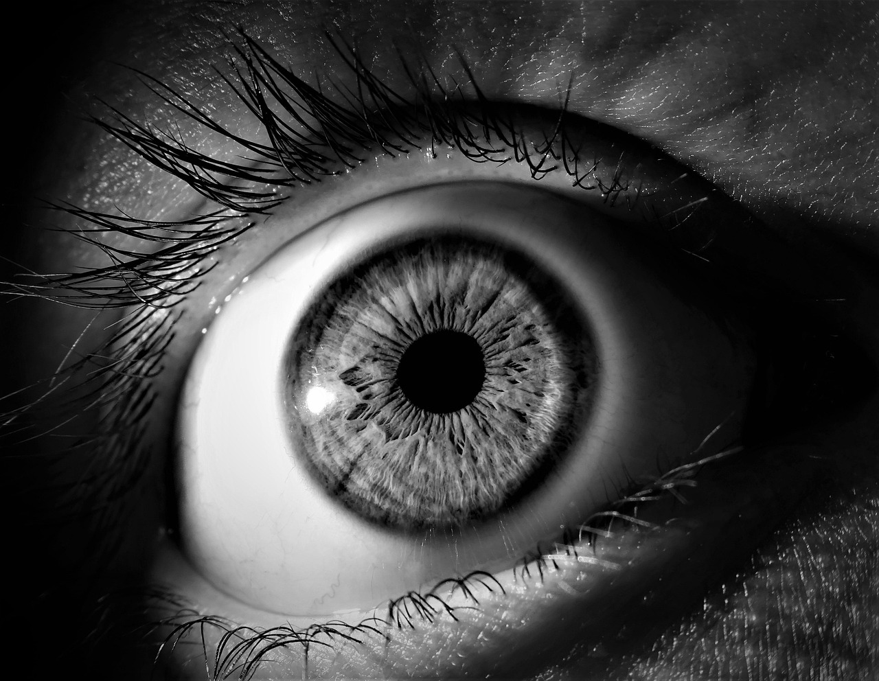 entdecken sie die neuesten ansätze zur visionentwicklung, die ihnen helfen, klare ziele zu setzen und ihre zukunft proaktiv zu gestalten. optimieren sie ihre fähigkeiten zur zukunftsplanung und erreichen sie ihre persönlichen und beruflichen träume.