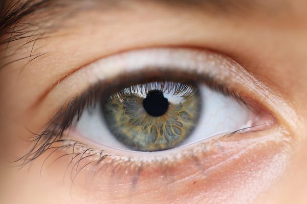 entdecken sie innovative ansätze zur visionentwicklung, die ihre perspektiven erweitern und kreative lösungen fördern. lernen sie, wie sie ihre visionären ideen in die realität umsetzen können.