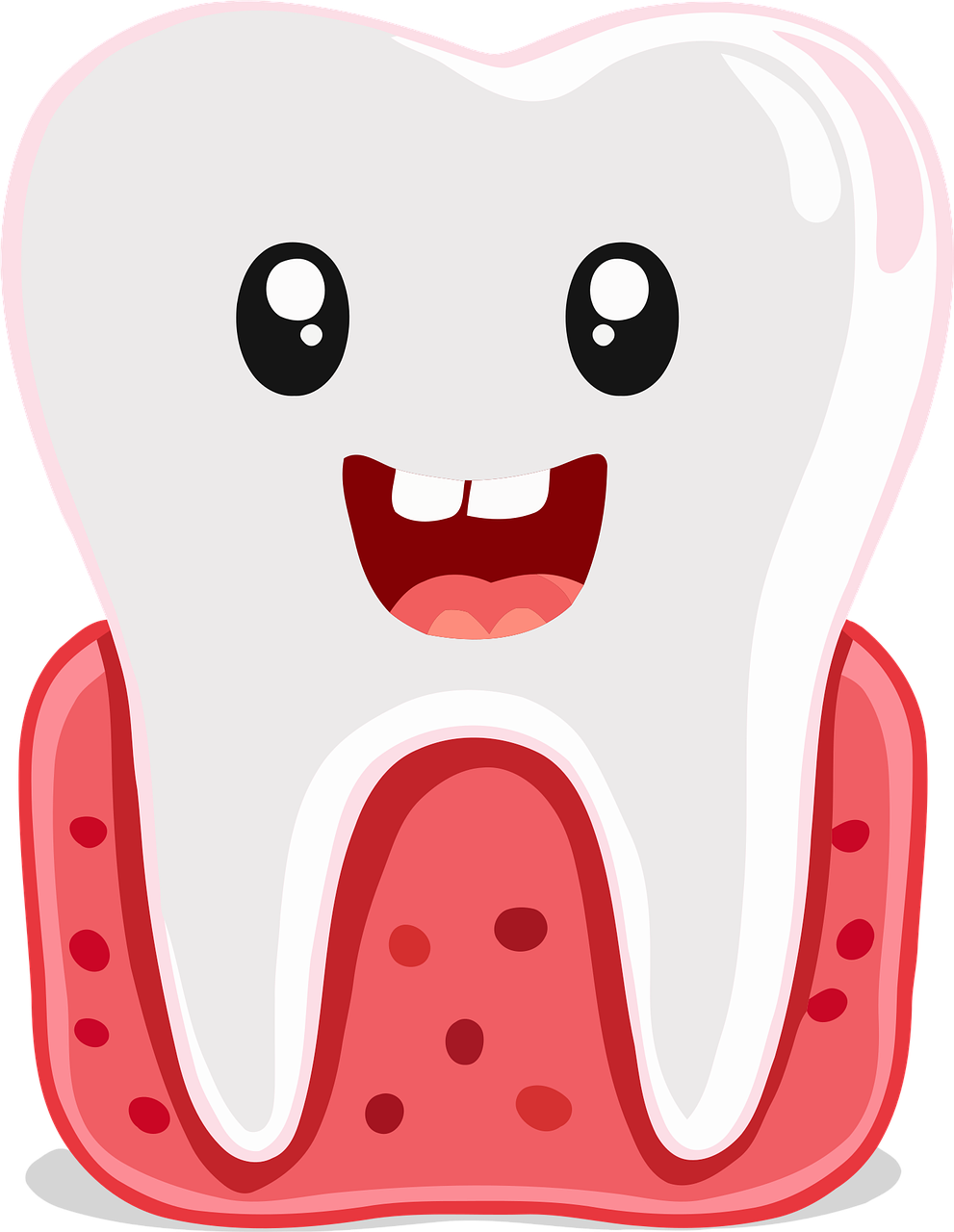 gesunde zähne: tipps und pflege für ein strahlendes lächeln und optimale mundgesundheit.